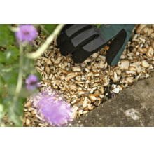 Nahaufnahme von Holzhackschnitzeln, Gartenhandschuhen und Pflanze