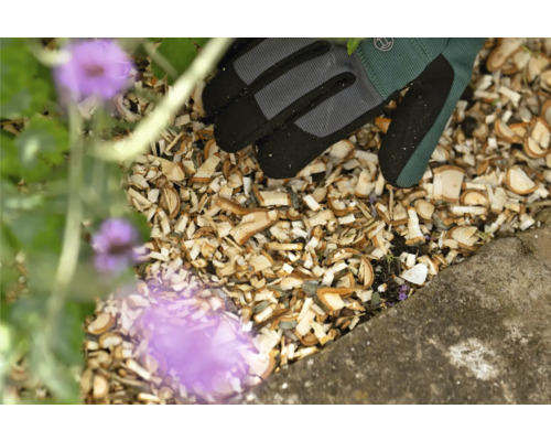 Nahaufnahme von Holzhackschnitzeln, Gartenhandschuhen und Pflanze