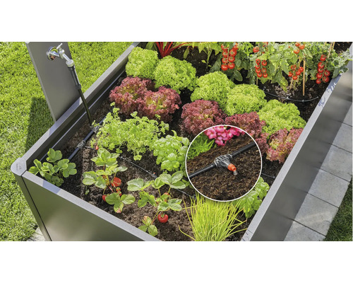 Hochbeet mit Bewässerungssystem und verschiedenen Pflanzen