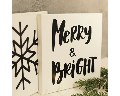 Zwei Leinwandbilder mit Schneeflocke und dem Schriftzug Merry & Bright