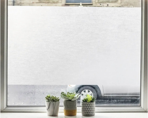 Fenster mit Milchglasfolie und Zimmerpflanzen auf dem Fensterbrett