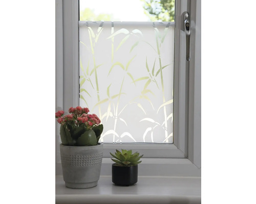 Fenster mit Sichtschutzfolie und Bambusmuster dekoriert, zusammen mit zwei kleinen Topfpflanzen auf dem Fensterbrett.