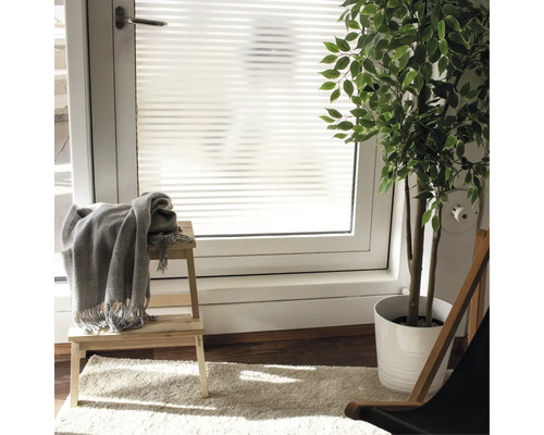 Szene mit Fensterfolie mit Streifenmuster, Hocker, Decke und Zimmerpflanze