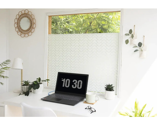 Helles Büro mit Schreibtisch, Laptop, Pflanzen und Fensterfolie für mehr Privatsphäre