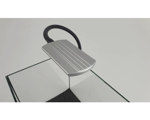 Aquariumleuchte mit flexiblem Arm an einem Glasaquarium