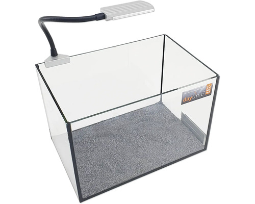 Leeres Glasaquarium mit LED-Lampe