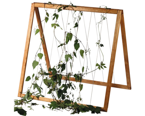 Holzspalier mit Kletterpflanze für den Garten