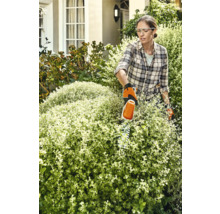 Frau schneidet Hecke mit Heckenschere im Garten