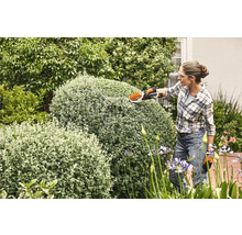 Frau schneidet Büsche mit einer Strauchschere im Garten.
