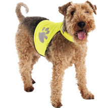 Hund mit Sicherheitsweste mit Pfotenabdruck