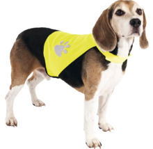 Hund mit Sicherheitsweste mit Pfotenabdruck