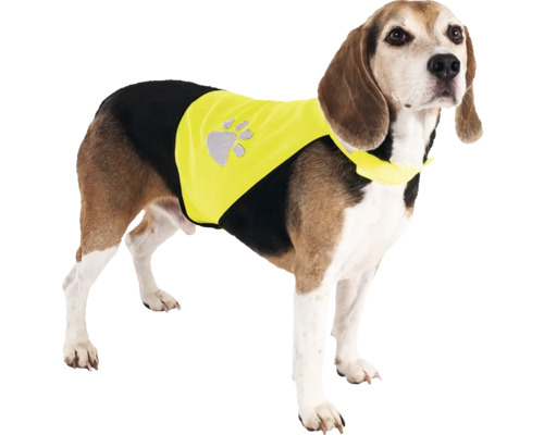 Hund mit Sicherheitsweste mit Pfotenabdruck