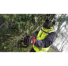 Eine Person mit Schutzausrüstung schneidet mit einer Hochentaster-Motorsäge Äste und Efeu.
