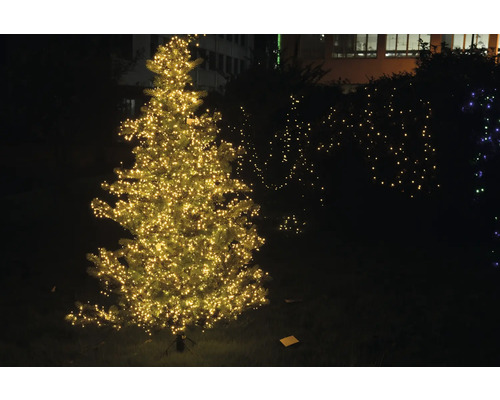 Beleuchteter Weihnachtsbaum im Außenbereich