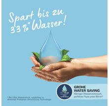 Wassersparen: Hände halten Wassertropfen mit Pflanzen, Grohe Water Saving Siegel