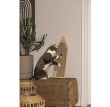 Katze spielt mit Kratzbaum auf einem Baumstamm