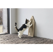 Katze kratzt an einem Kratzbaum aus Sisal in Form eines Hauses.