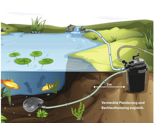Illustration eines Teichfiltersystems mit Pumpe im Teich und Filter außerhalb des Teichs.