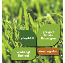 Vorteile von Rasensamen: pflegeleicht, geeignet für alle Rasentypen, verdrängt Unkraut, ohne Umgraben