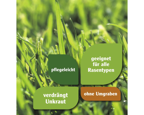 Vorteile von Rasensamen: pflegeleicht, geeignet für alle Rasentypen, verdrängt Unkraut, ohne Umgraben