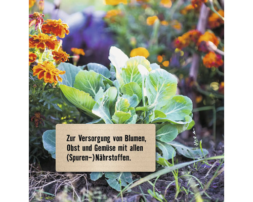 Gemüsegarten mit Pflanzen und Hinweisschild zur Versorgung von Blumen, Obst und Gemüse mit allen Nährstoffen