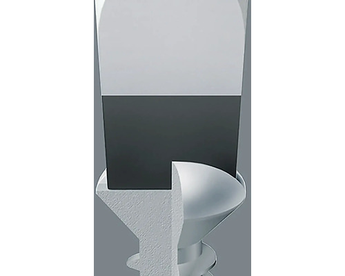 Nahaufnahme einer Schraube mit Schraubendreheransatz