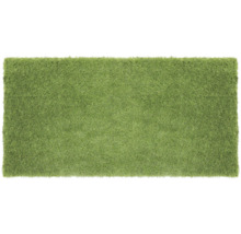 Grüner Teppich mit Fransen