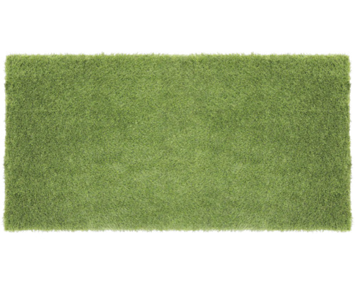 Grüner Teppich mit Fransen