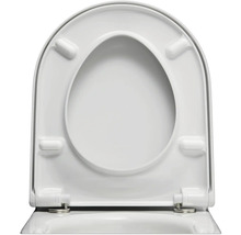 Toilettensitz aus Sanitärkeramik