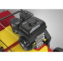Motor einer Vertikutiermaschine