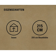 Eigenschaften: Innenraum geeignet, 215 cm Baumhöhe