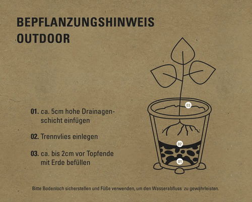 Pflanzanleitung für den Außenbereich: Drainage, Trennvlies und Erde in den Topf geben