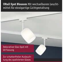 URail Spot Blossom mit wechselbarem Leuchtmittel an einer weißen Schiene