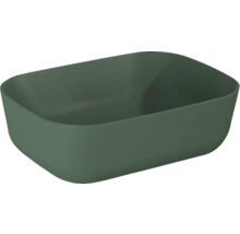 Grüne Pflanzschale