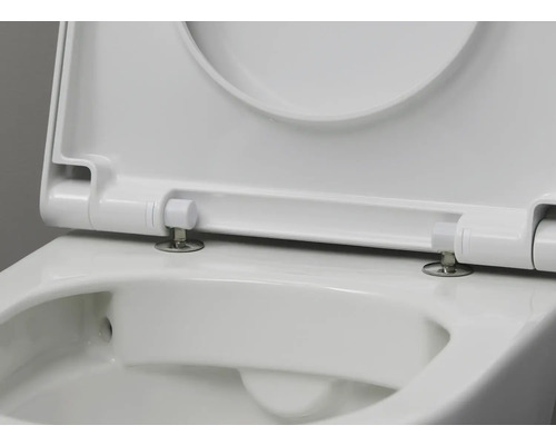 Detailansicht einer weißen WC-Brille mit geöffnetem Deckel