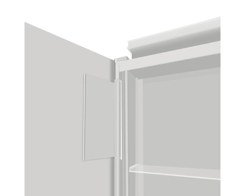 Detailansicht eines Schranks mit Tür und Regalböden