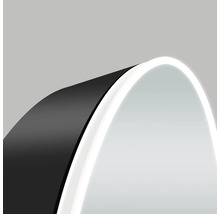 LED-Spiegelschrank DSK Oval Torino BxHxT 45x80x13.2 cm schwarz