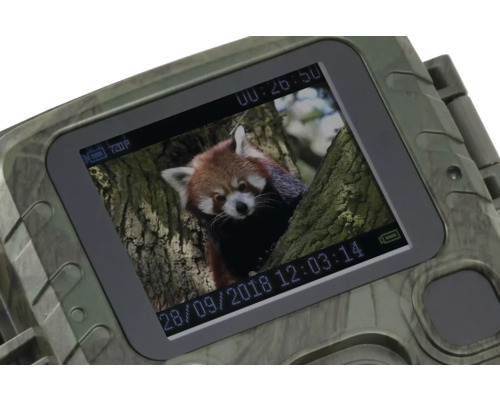 Wildkamera mit Foto eines Roten Pandas