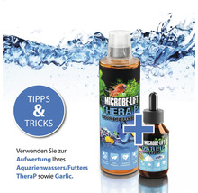 Microbe-Lift Therapy und Garlic Futterzusatz für Aquarien
