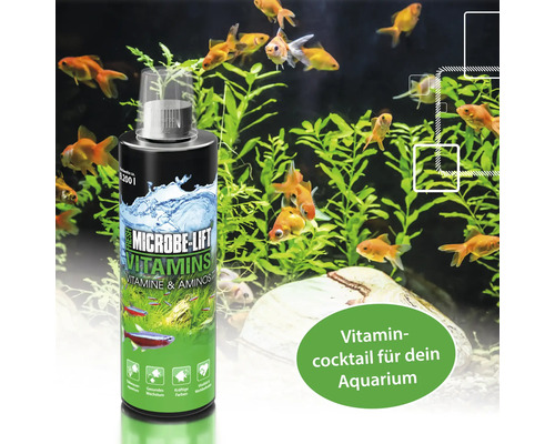 Microbe Lift Vitamins für Süßwasseraquarien zur Förderung des Wachstums und kräftiger Farben