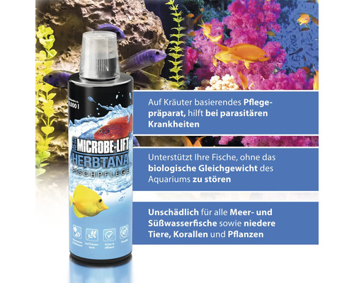 Microbe Lift Herbtana Fischpflege Produkt zur Behandlung von Zierfischen im Aquarium