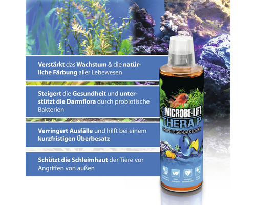 Microbe Lift Thera P Tierpflege Bakterien zur Steigerung des Wachstums und der natürlichen Färbung für Aquarien