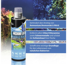 Microbe Lift Xtreme Wasseraufbereiter zur Verhinderung des Anstiegs von Ammonium, Ammoniak und Nitrit
