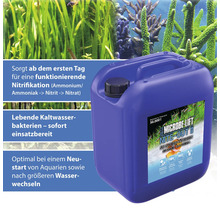 Microbe Lift Nite-Out II Starterbakterien für Aquarien