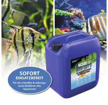 Microbe Lift Nite Out II Starterbakterien Kanister zur sofortigen Verwendung für ein Aquarium