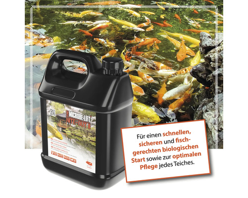 Microbe Lift Nite Out II Teichpflege vor einem Teich mit Kois