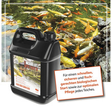 Microbe Lift Nite Out II Teichpflege vor einem Teich mit Koi Karpfen