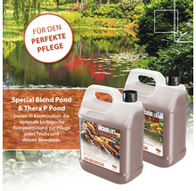 Zwei Behälter Teichpflegeprodukte vor einem Gartenteich