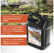 Microbe Lift Xtreme Wasseraufbereiter im schwarzen Kanister vor Gartenteich