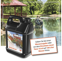 Microbe-Lift Xtreme Wasseraufbereiter Kanister vor Teichkulisse